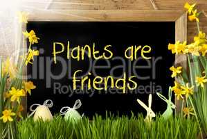 Sunny Narcissus, Easter Egg, Bunny, Text Plants Are Friends