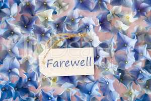 Hydrangea Flat Lay, Text Farewell, Flower Background