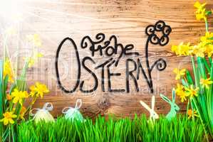 Sunny Easter Decoration, Calligraphy Frohe Ostern Means Happy Easter