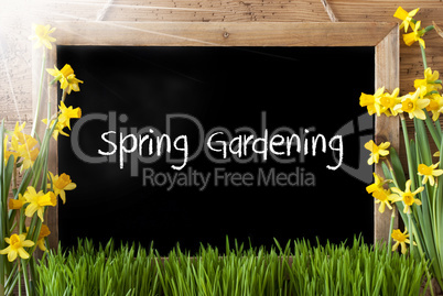 Sunny Narcissus, Chalkboard, Text Spring Gardening, Grass