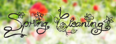 Sunny Poppy Flower, Spring, Calligraphy Spring Cleaning