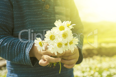 Little Child Is Holding A Bouquet Of Daisy Flower