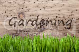 Bright Wooden Background, Grass, English Text Gardening