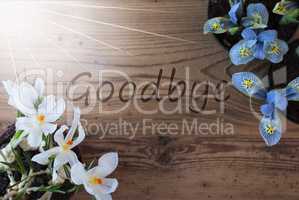 Sunny Crocus And Hyacinth, Text Goodbye, Wooden Background