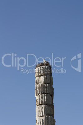 Storks nesting on a roman pillar in temple of Artemis one of the seven wonder of the ancient world - Selcuk, Turkey photo