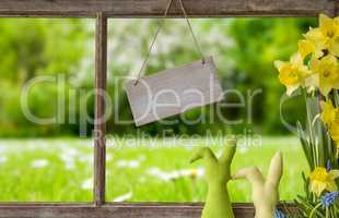 Window, Green Meadow, Copy Space, Easter Bunny