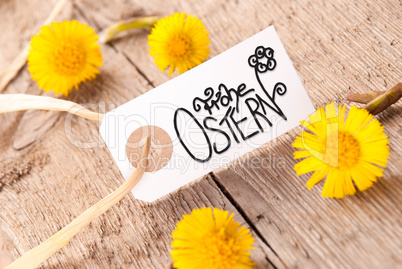 Label, Dandelion, Calligraphy Frohe Ostern Means Happy Easter