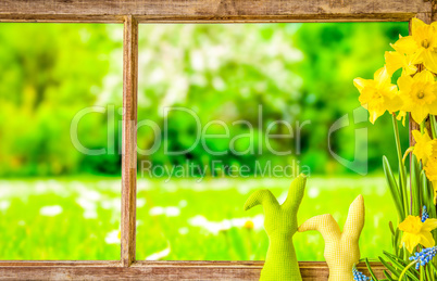 Window, Green Meadow, Easter Bunny Decoration And Narcissus Flower