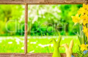 Window, Green Meadow, Easter Bunny Decoration And Narcissus Flower
