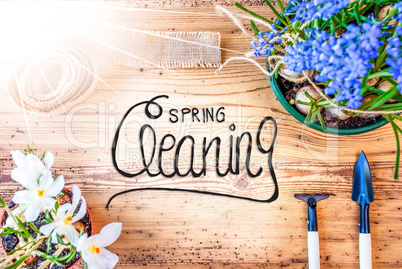 Sunny Spring Flowers, Calligraphy Spring Cleaning, Wooden Background