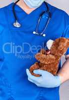 doctor in blue uniform and old latex gloves holding a brown tedd