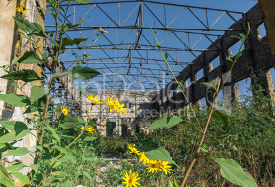 Old abandoned industrial factory in Ukraine