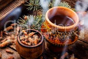 Tea with pine buds