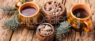 Tea with pine buds