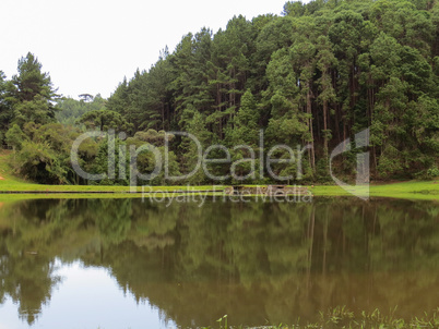 Tranquil lake with forest reflection in the background.