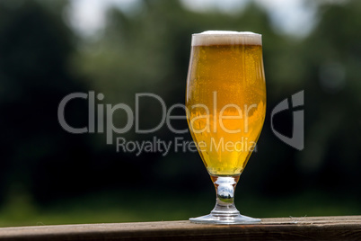 Glass of beer on green nature background.