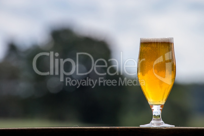 Glass of beer on green nature background.