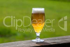 Glass of beer on green nature background.