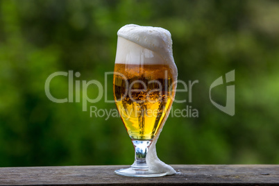 Glass of beer on green nature background.