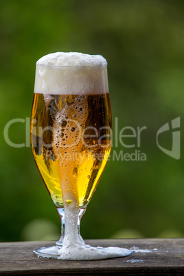 Glass of beer on green nature background.