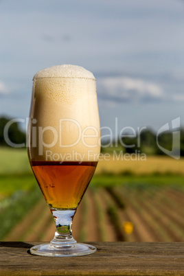 Glass of beer on summer landscape background.