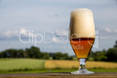 Glass of beer on summer landscape background.