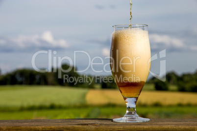 Glass of beer on summer landscape background.