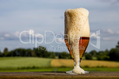 Glass of beer on summer landscape background.