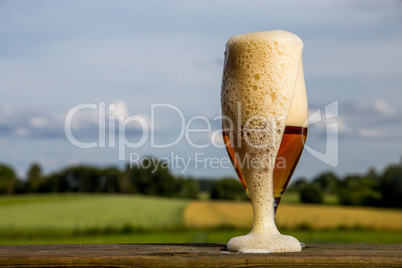 Glass of beer on summer landscape background.