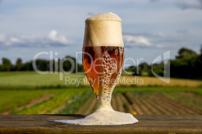 Glass of beer on summer landscape background.