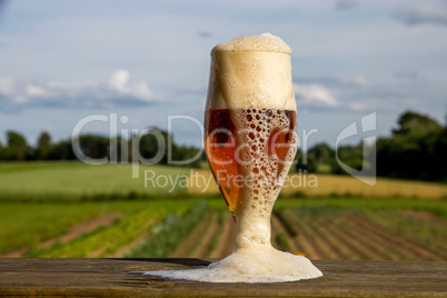 Glass of beer on summer landscape background.