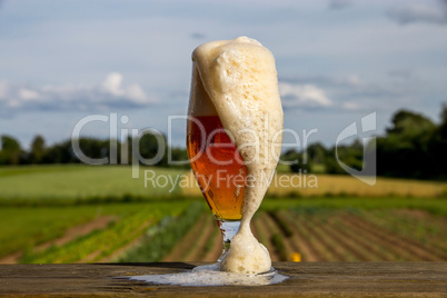 Glass of beer on summer landscape background.