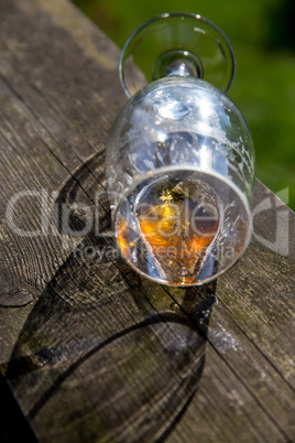 Overturned glass of beer on wooden table.