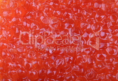 red caviar at day