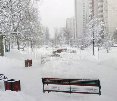 city park after snowfall at day