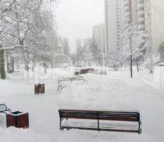 city park after snowfall at day