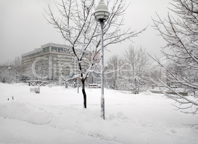 city park after snowfall at day