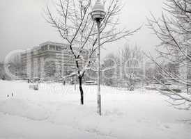 city park after snowfall at day