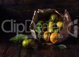 Ripe Tangerines with Leaves