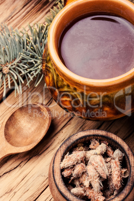 Tea with pine buds