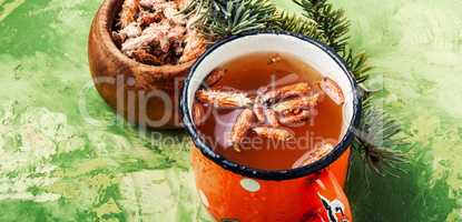 Tea with pine buds