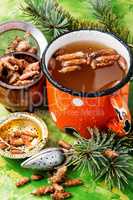 Tea with pine buds