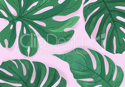 Tropcal palm leaves beautiful background. Summer nature floral wallpaper.