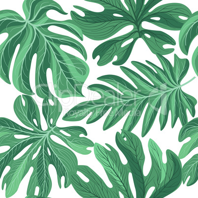 Tropcal palm leaves seamless pattern. Beautiful floral background. Summer nature wallpaper.