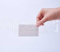 empty white paper business cards in a female hand