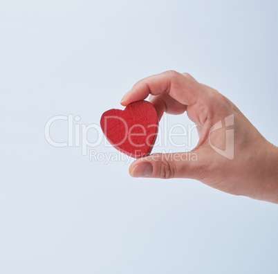 red heart in a human hand on a white background