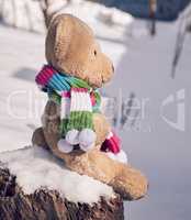 teddy bear in a scarf sits on a stump in the middle of white sno