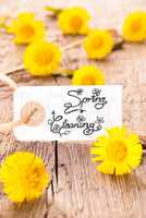 White Label, Dandelion, Calligraphy Spring Cleaning, Wooden Background