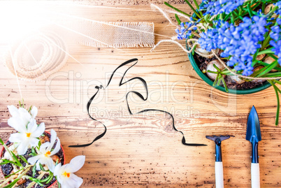 Sunny Spring Flowers, Illustration Of Easter Bunny, Wooden Background