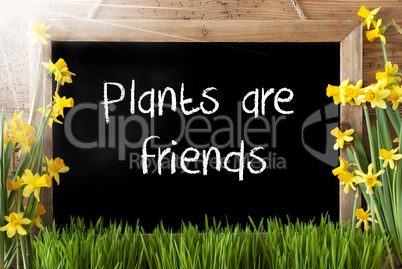 Sunny Spring Narcissus, Chalkboard, Text Plants Are Friends